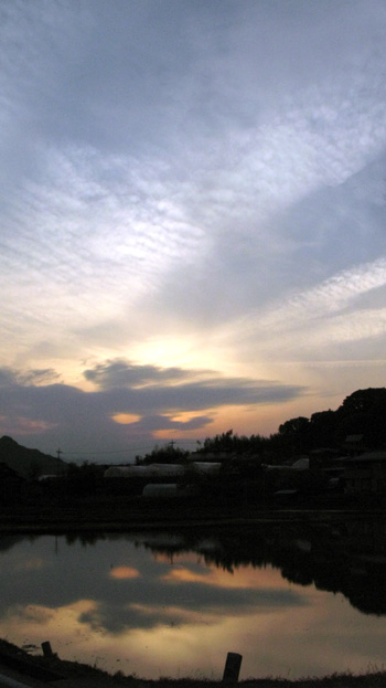 tanbo-yuuyake-22.05.18..jpg